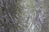 Upper Hopton fibreglass roof work